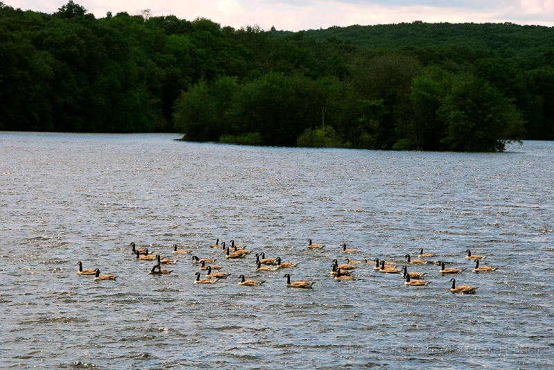 DSC_7881.JPG