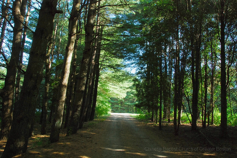 DSC_8632.JPG