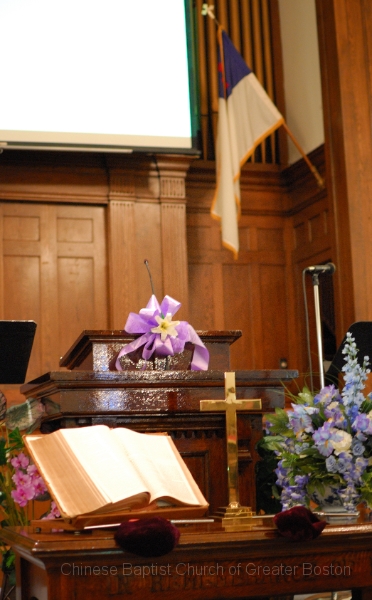 ADR_0672-processed.jpg