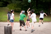 ADR_5244