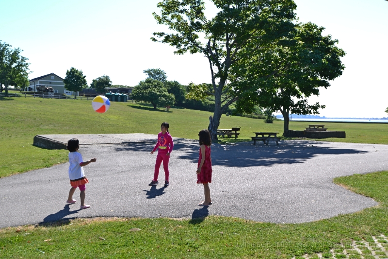 DSC_8030.JPG