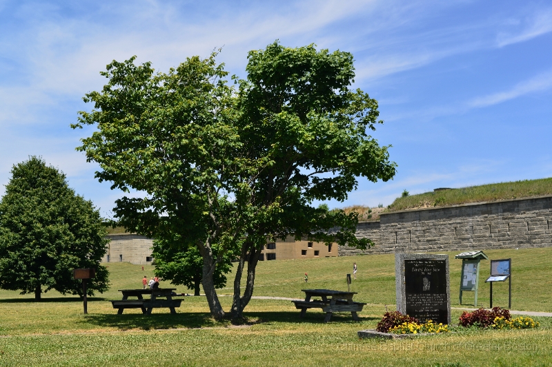 DSC_8296.JPG