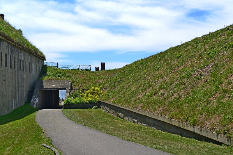 DSC_8308.JPG
