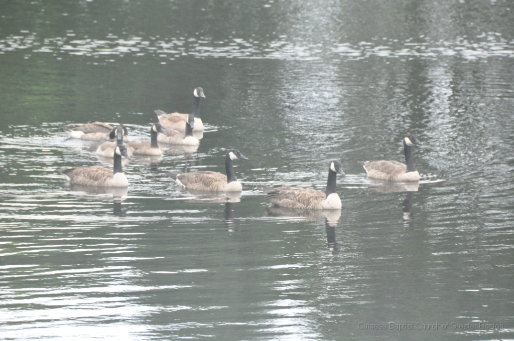 DSC_0234.JPG